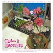 ウェブラジオ 桃のきもち・パーフェクトCD 桃パー1・桃のつぼみ