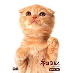 �l�R�~�� �g���E�l�R�� [DVD]