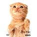 �l�R�~�� �g���E�l�R�� [DVD]