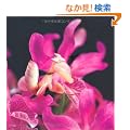 �ނ����̂�����u���v