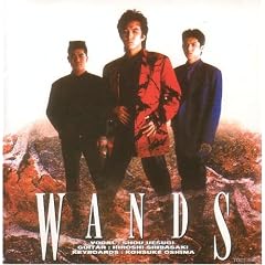 WANDS