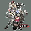 SPEED/�J���L�����}�V�[��