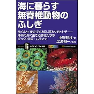 【クリックで詳細表示】海に暮らす無脊椎動物のふしぎ 歩くホヤ、夜遊びする貝、踊るクモヒトデ……沖縄の海に生きる動物たちのびっくり仰天！な生き方 (サイエンス・アイ新書) [新書]