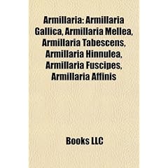 Armillaria: Armillaria Gallica, Armillaria Mellea, Armillaria Tabescens, Armillaria Hinnulea, Armillaria Fuscipes, Armillaria Affi