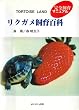 TORTOISE LAND ���N�K������S�ȁ\���S����}�j���A��