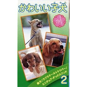 ���킢���q�� volume.2 [VHS]