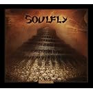 �R���N�@�[~����~ �|CD+DVD�X�y�V�����E�G�f�B�V�����|