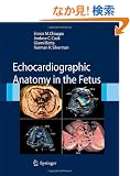 Echocardiographic Anatomy in the Fetus