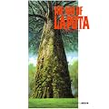 The art of Laputa (�W�E�A�[�g�E�V���[�Y (7))