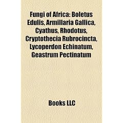 Fungi of Africa: Boletus Edulis, Armillaria Gallica, Cyathus, Rhodotus, Cryptothecia Rubrocincta, Lycoperdon Echinatum, Geastrum Pectin