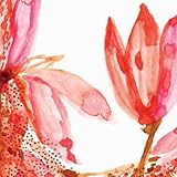 [CD]Dew 花図鑑 別冊