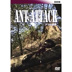 BBC �A���̏P�� [DVD]