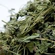 MDH�@�t�F�l�O���[�N�@100g�@Kasoori Methi�@�X�p�C�X�@�n�[�u�@���h���@�������@�Ɩ��p