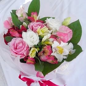 ���������o���ƃ`���[���b�v�A�X�C�g�s�[�A�K�[�x���A�Ђ܂��ȂǋG�߂̉Ԃ̂��C���ԑ�10���܂ł̂������ő��������\�i�x�Ɠ��͕s�j