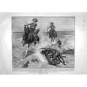 �E�F�[���Y�C���h 1905 �N�̃R���[�e�̒ǐՂ� Praire �̃I�I�J�~�A�����J�̉��q
