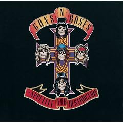 Appetite for Destruction [12 inch Analog]