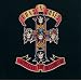 Appetite for Destruction [12 inch Analog]