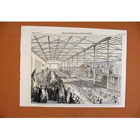 �w�҂̒a�����̂��߂̃A���o�[�g���q C1851 �Â���