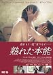 �n�ꂽ�{�\ [DVD]