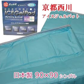 ���s����A�C�X�W�F���p�b�h�E�V���O���^�C�v�yPCM-5401�z�y�����΍�z�y�G�R�z�y�M���ǁz�y�����z�y���{���z�y�S���z���������E����y�ї����������z