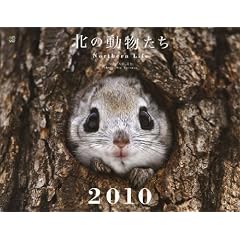 �k�̓������� �J�����_�[ 2010
