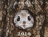 �k�̓������� �J�����_�[ 2010 (�m�J�����_-�n)