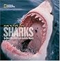 Face to Face With Sharks (Face to Face with Animals)