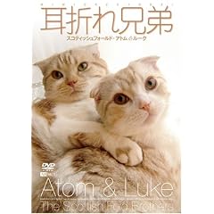���܂�Z�� �X�R�e�B�b�V���t�H�[���h�E�A�g��&���[�N [DVD]