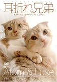 ���܂�Z�� �X�R�e�B�b�V���t�H�[���h�E�A�g��&���[�N [DVD]