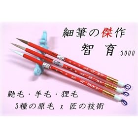 �y���{��/�����ѕM�z 3000 �q�� �וM�@���^�k�L��