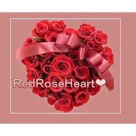 �y�t�����[�M�t�g�z�������� ���b�h���[�Y�n�[�g�A�����W�����g�@�y �����j���v���[���g�@�����L�O���@���j�� �a�����v���[���g�z