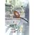 �d�]�R�C�� ��9�� ����� [DVD]