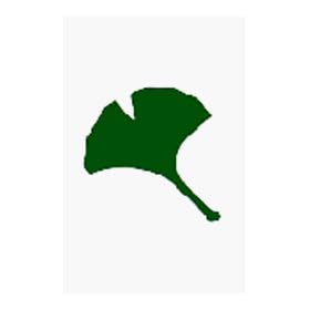 �p���` ICYOU