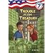 Capital Mysteries #7: Trouble at the Treasury (A Stepping Stone Book(TM))