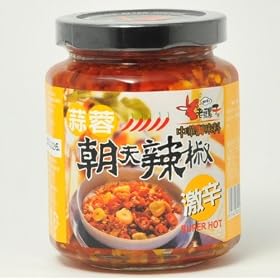 �����@��p�Y�j���j�N���蓂�h�q�H�ׂ郉�[���@240��