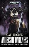 [Book] Angels of Darkness