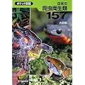 ���{��঒�������157 (�|�P�b�g�}��)