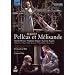 Pelleas et Melisande, opera de Claude Debussy (Theater an der Wien 2009) [DVD] [Import]