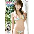 �R�{�� �����}���� [DVD]