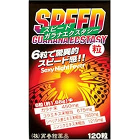 �X�s�[�h�K���i�G�N�X�^�V�[ 120��