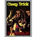 at ������(���K�V�[�E�G�f�B�V����) [DVD]
