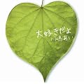 ��D������(���񐶎Y�����)(DVD�t)