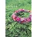 Ribbon Lei �̎Q�l���i�a���j