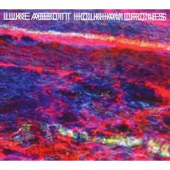 Holkham Drones