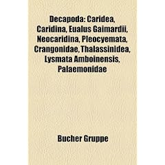 Decapoda: Caridea, Caridina, Eualus Gaimardii, Neocaridina, Pleocyemata, Crangonidae, Thalassinidea, Lysmata Amboinensis, Atya G
