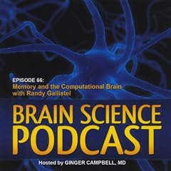 Brain Science Podcast 66: Memory & the Computation