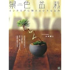�C���e���A�ɉf���� �i�F�~��