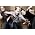 MXPX �̃T���l�C���摜