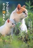 �}�}�ɂȂ����l�R�̊C(�J�C)����� (�|�v������)