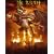 Rush in Rio (Ws Ac3 Dol Dts Dig Mul) [DVD] [Import]
